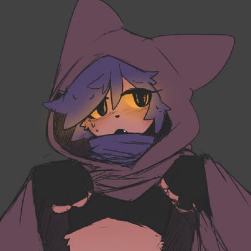 Niko the cat