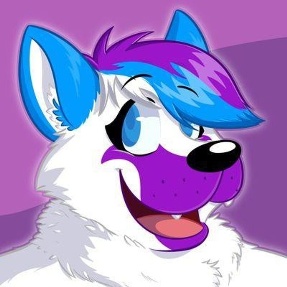 SpaceHusky