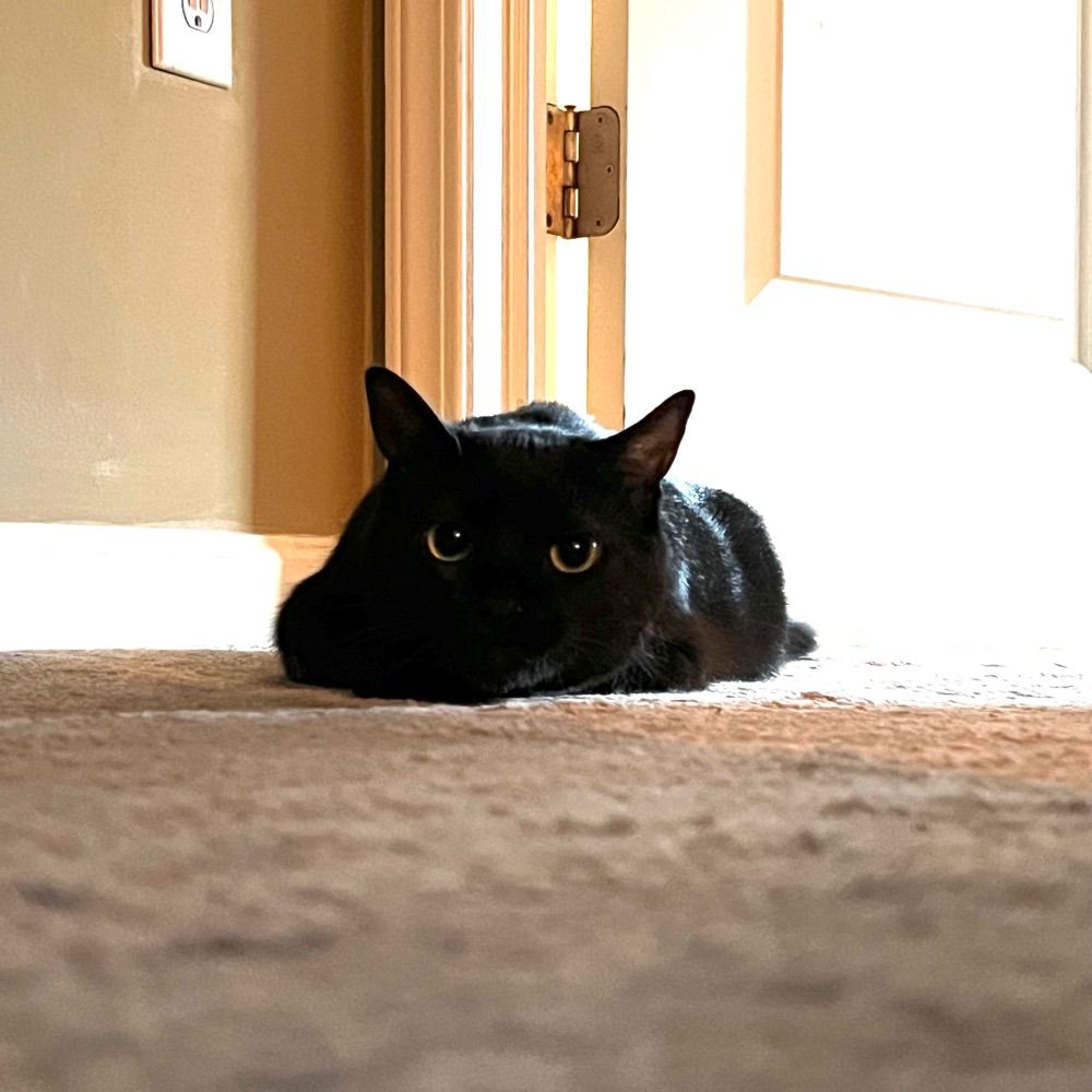 Titus 🖤