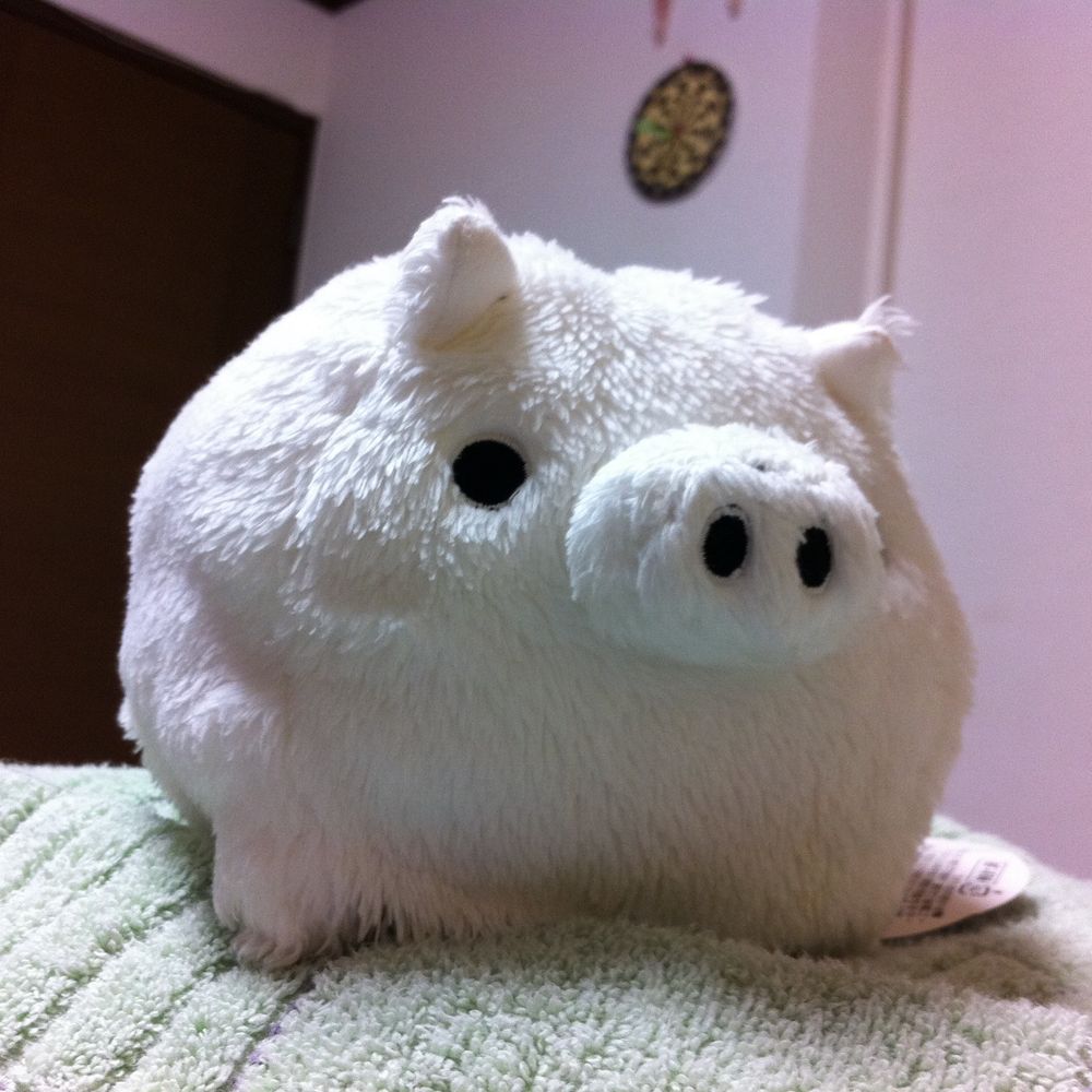 しろぶー