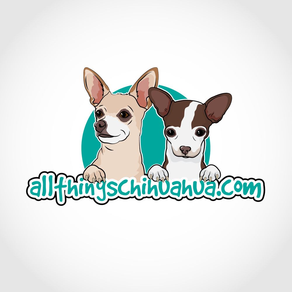 All Things Chihuahua