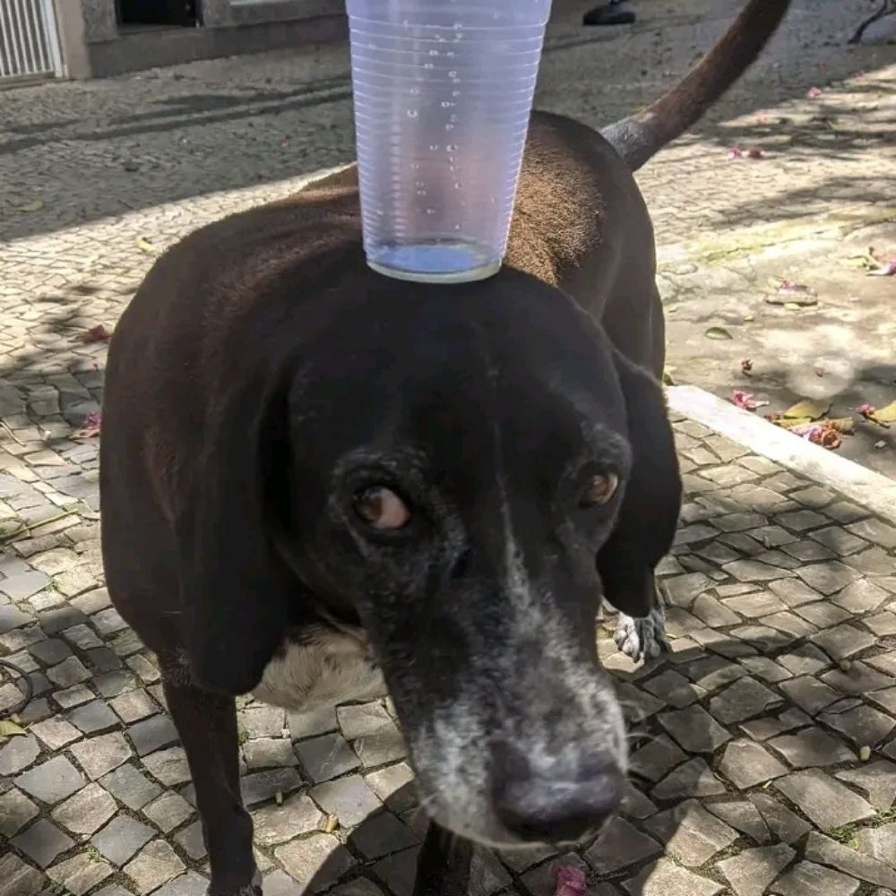 Matekaro