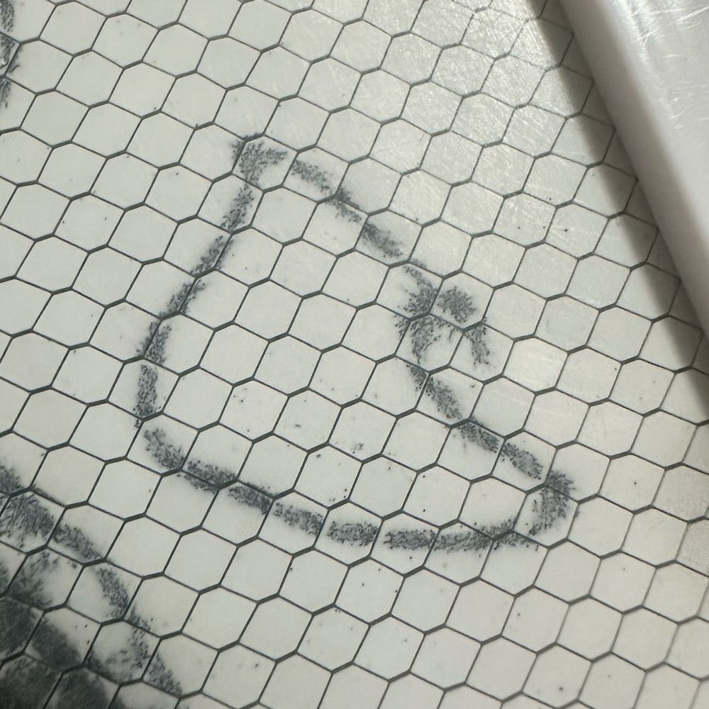 れんにゅう