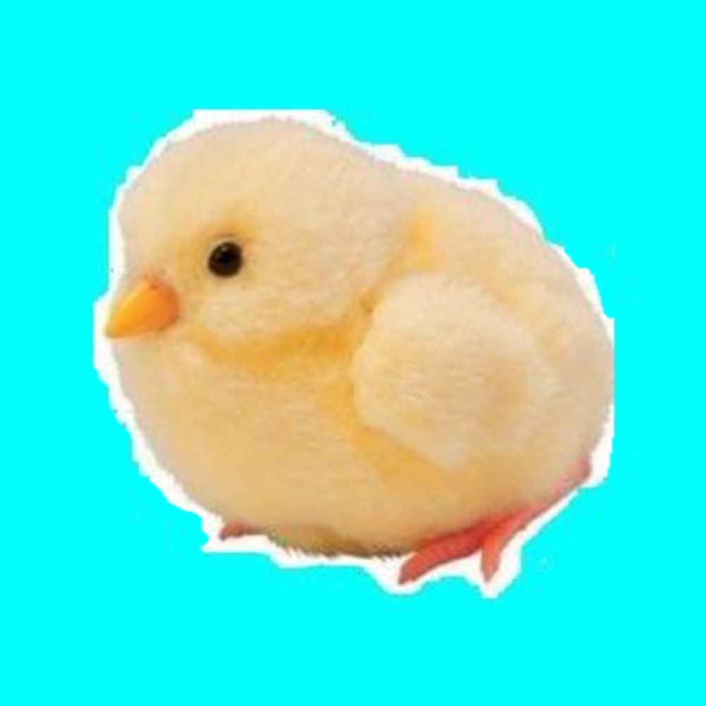 つむら
