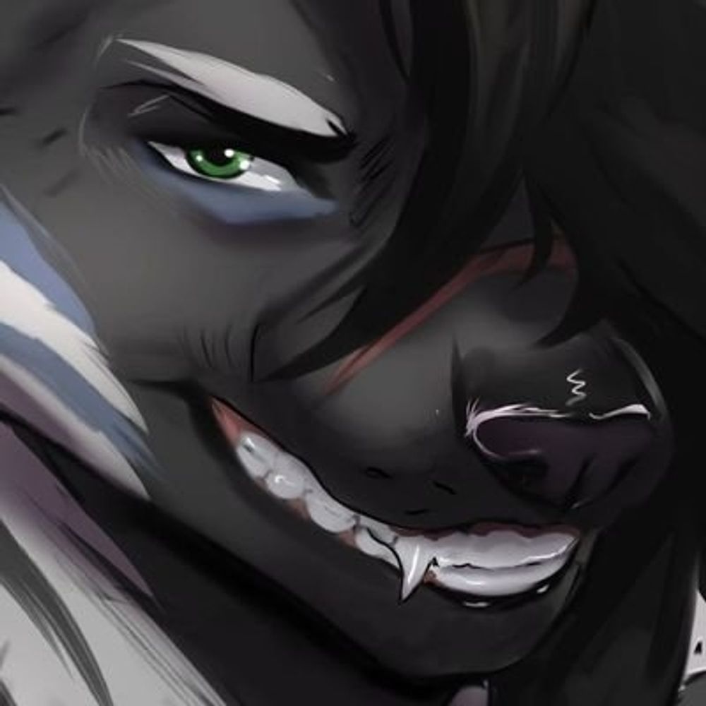 Kurocai 🔞