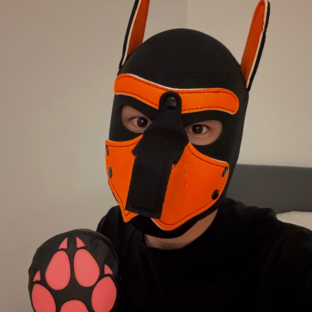 Pup Jack