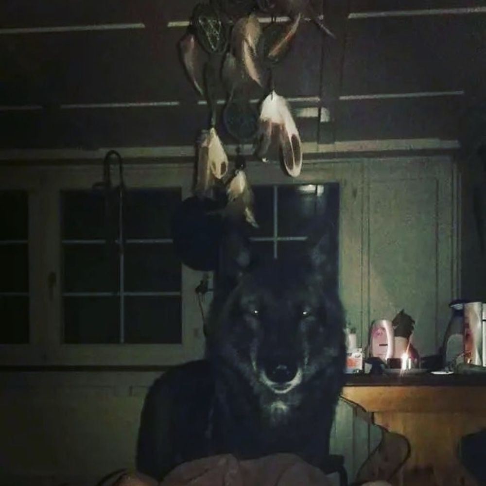 Yotemutt