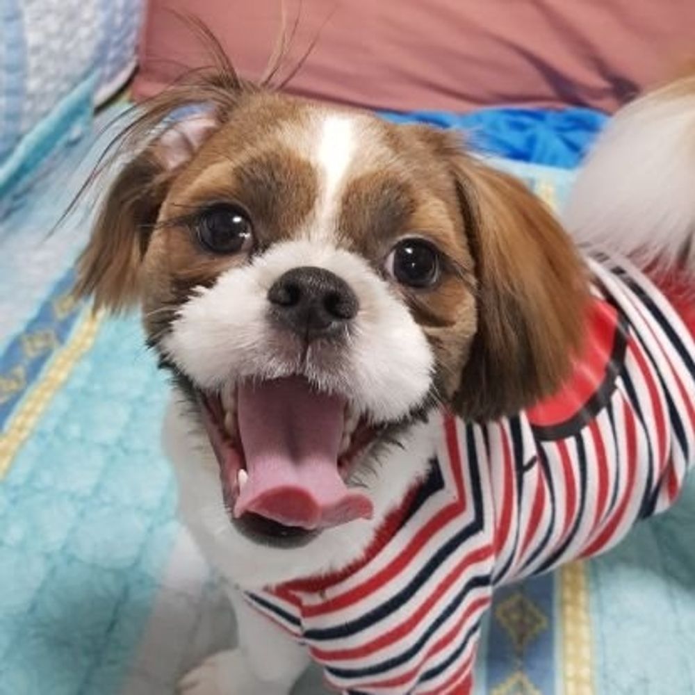 이메디나