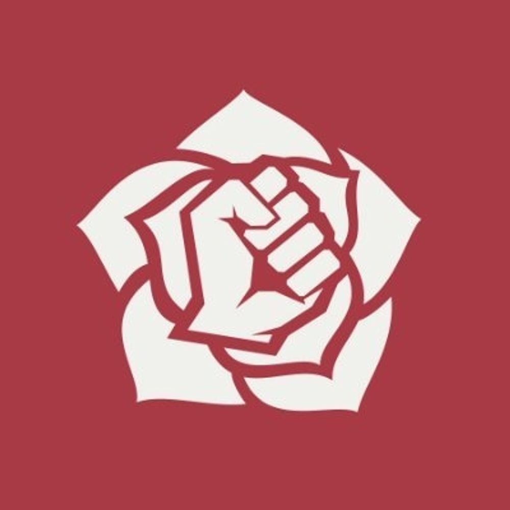The Nordic Model 🌹