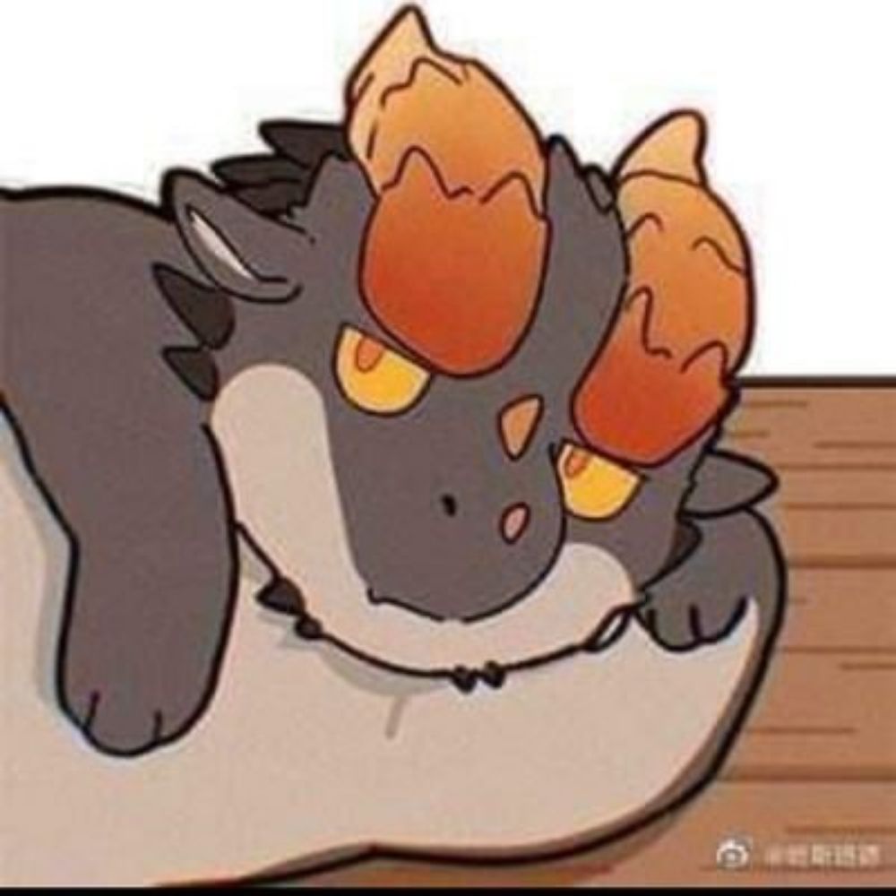 
︎
︎
︎
︎