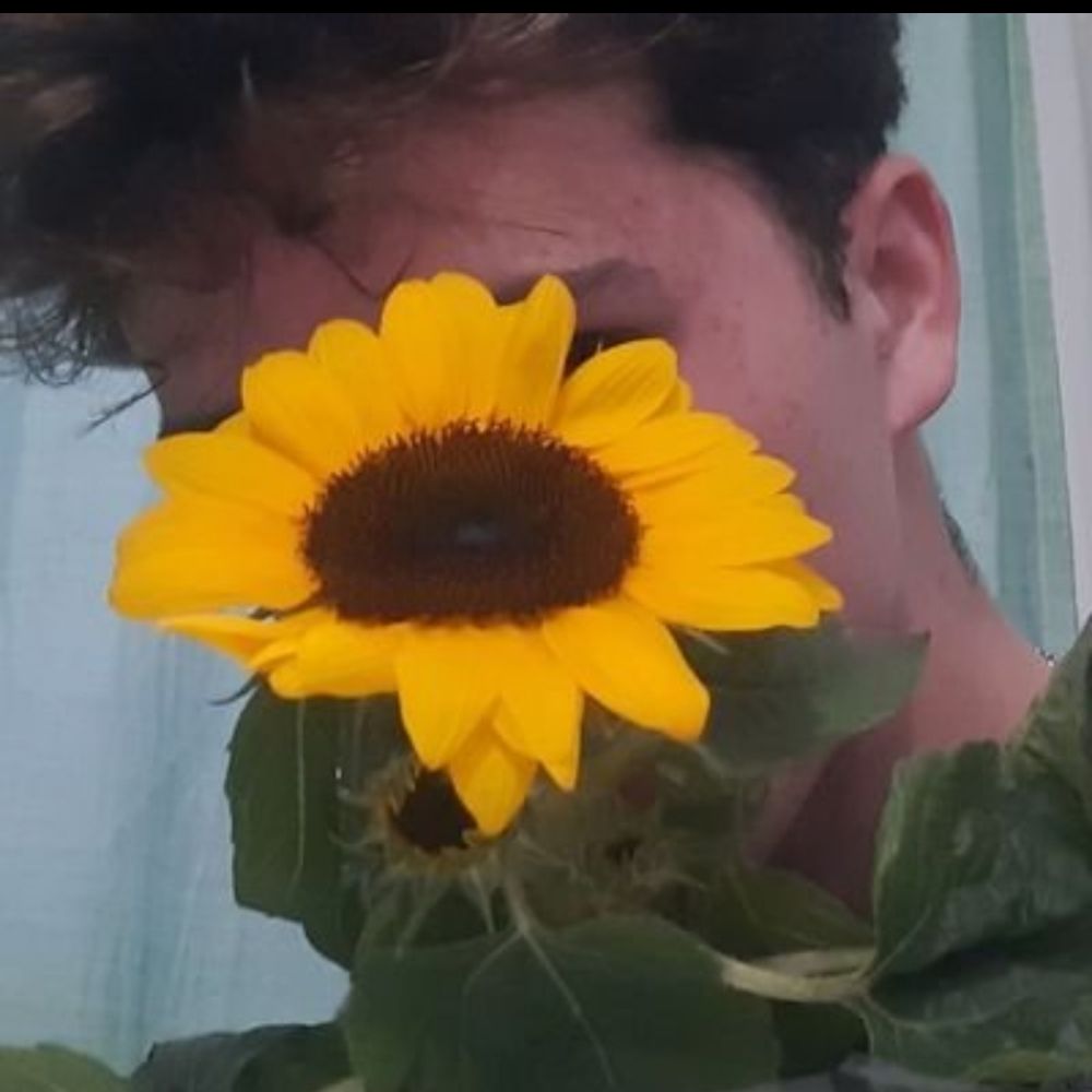Thiago Mavromatis 
