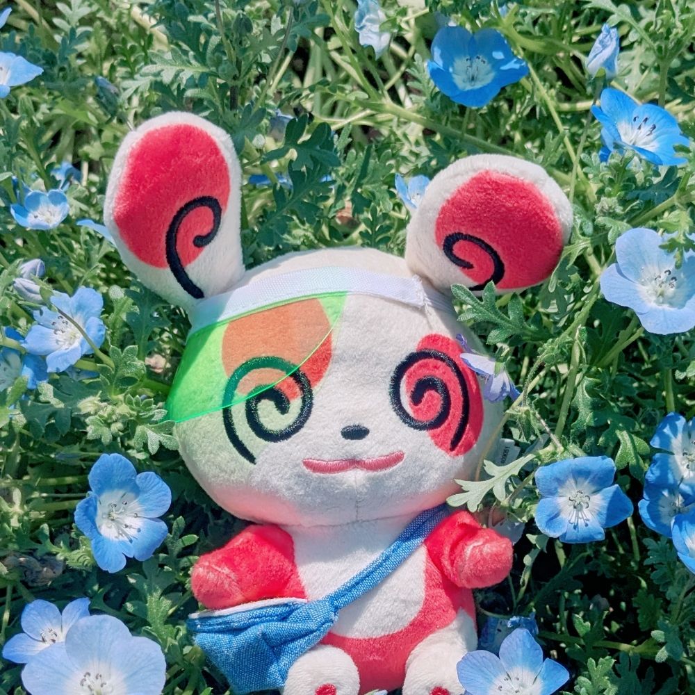 そーる
