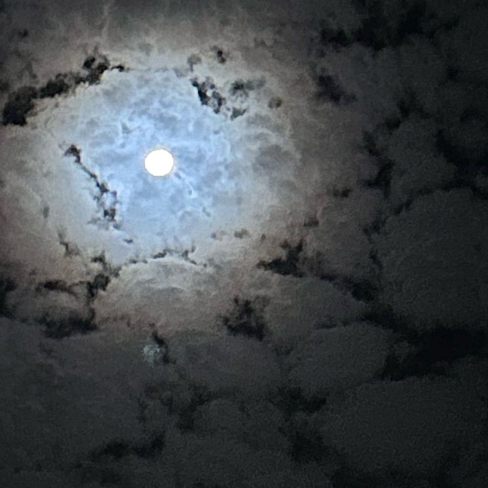 星