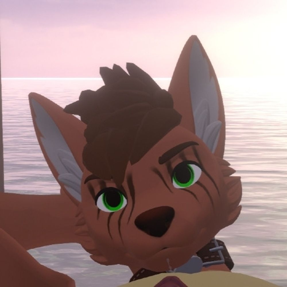 Sky the himbo fox🔞