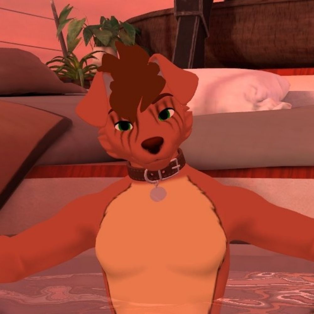 Sky the himbo fox🔞