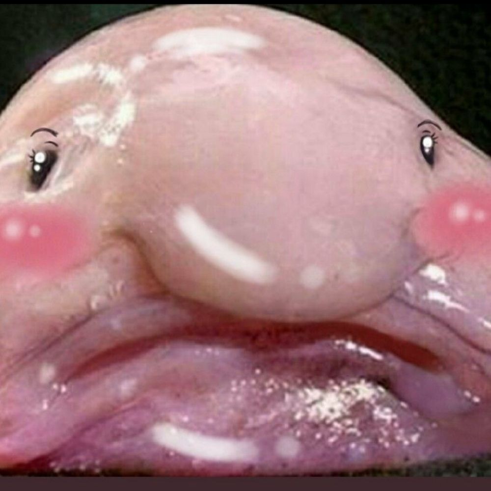 ゆにゃっくす。