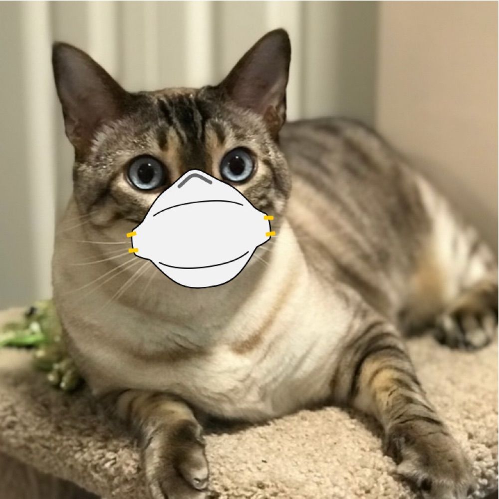 Mr. Incognito