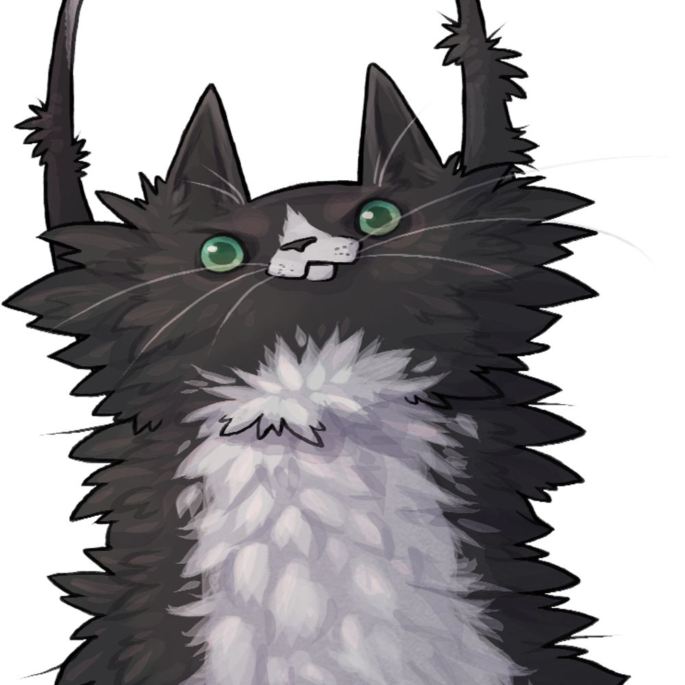 Tookipalooki