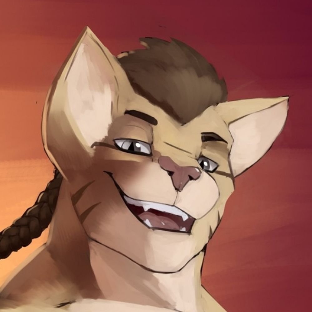Kot