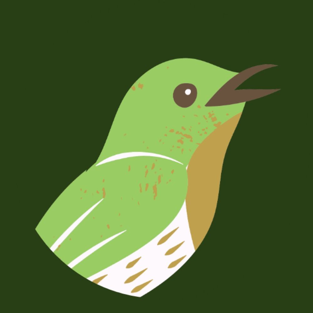 Birdy