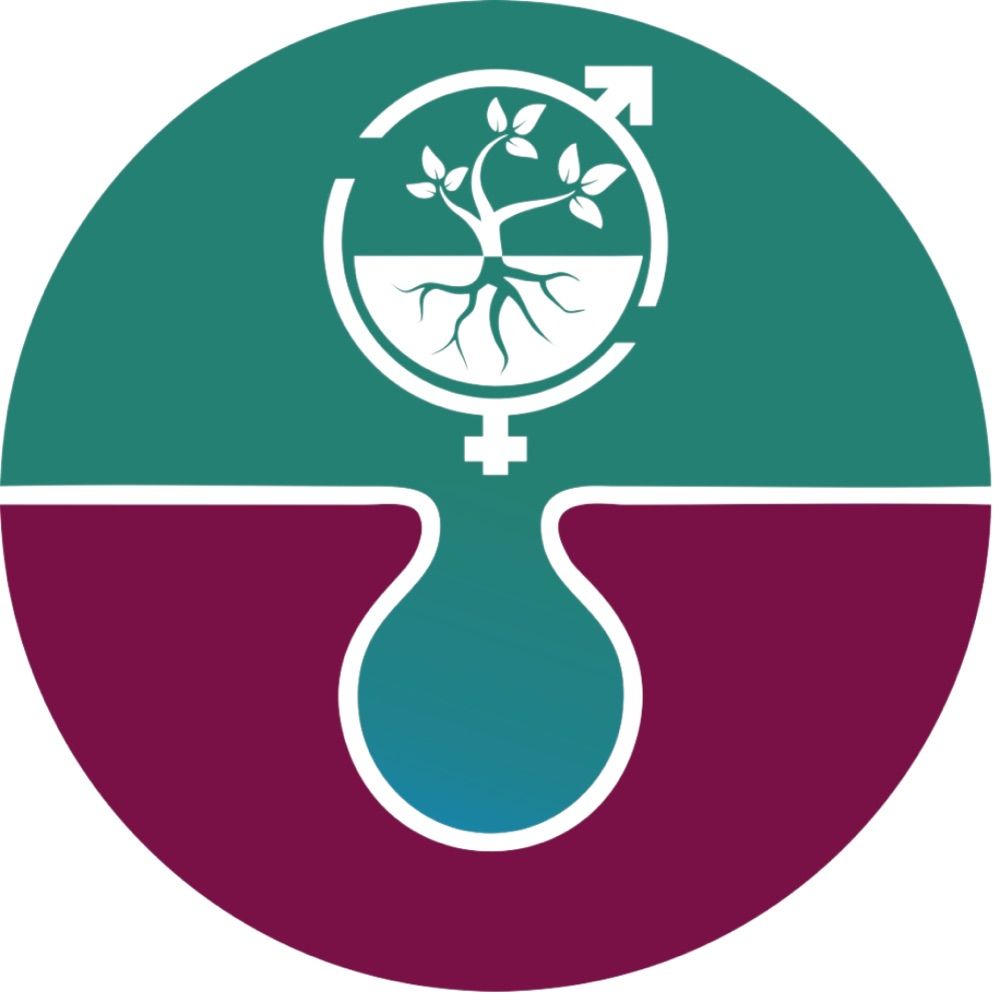 SAEDI Consulting