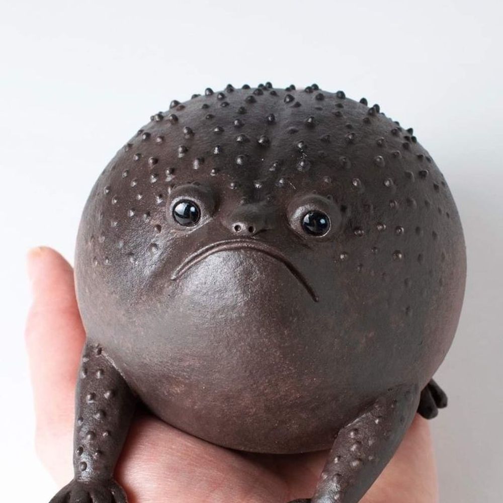Rainfrog
