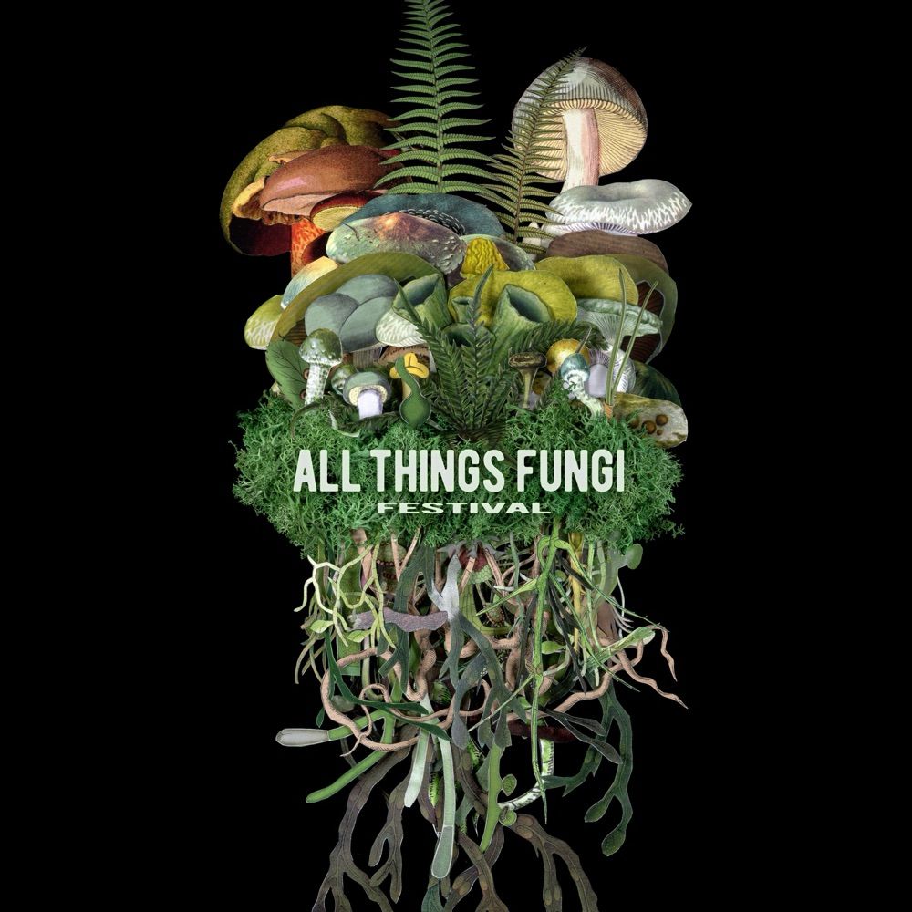 All Things Fungi Festival
