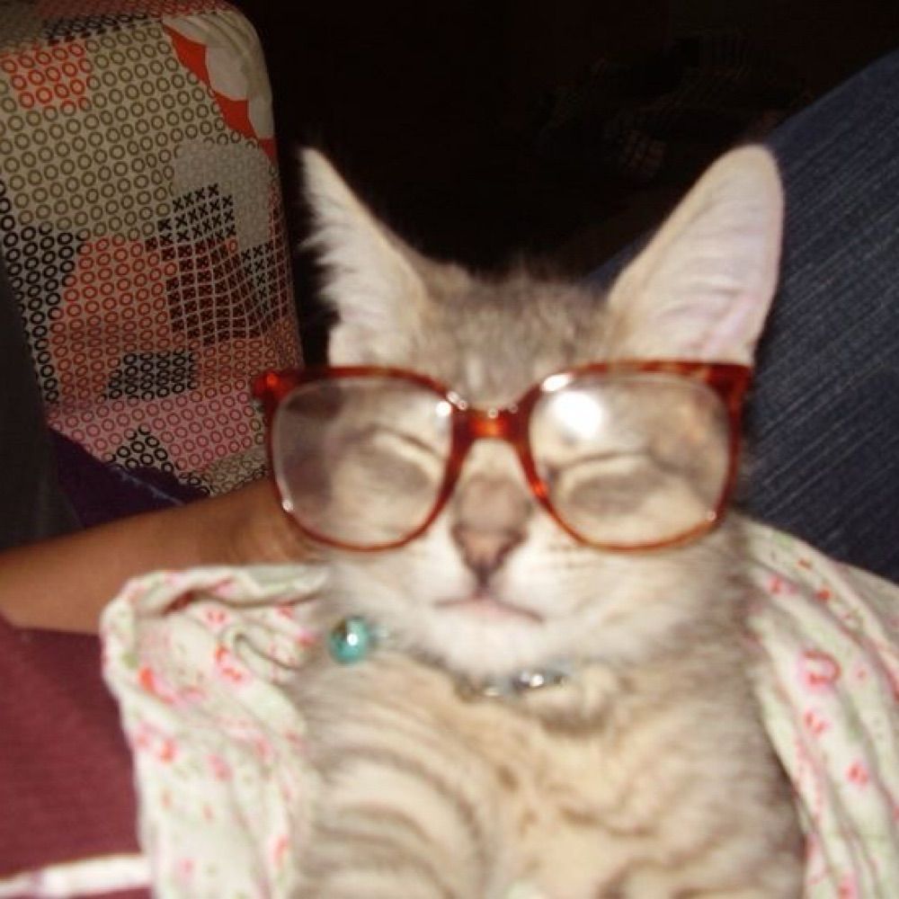 ma