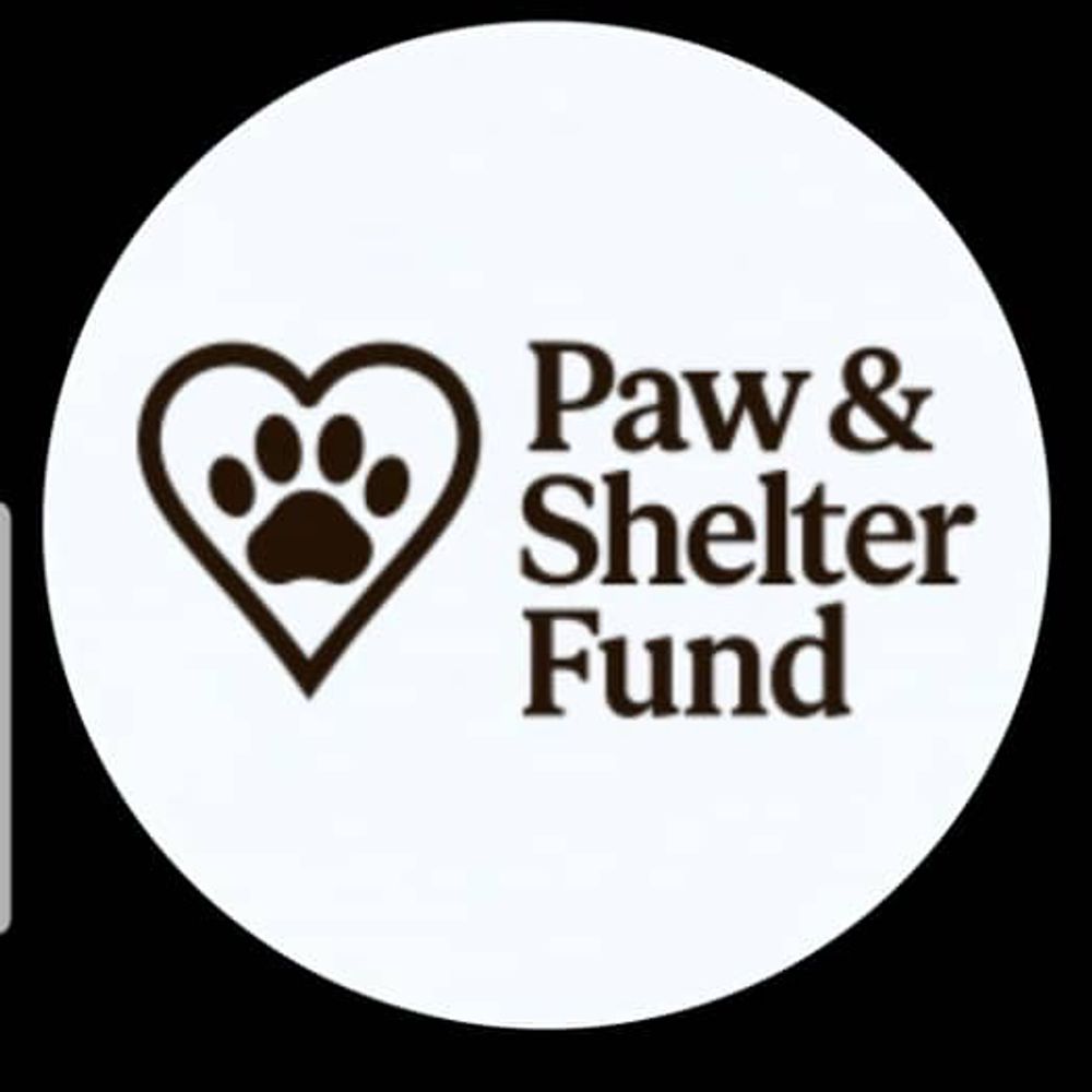 PAWSITIVE PAWS 🐾