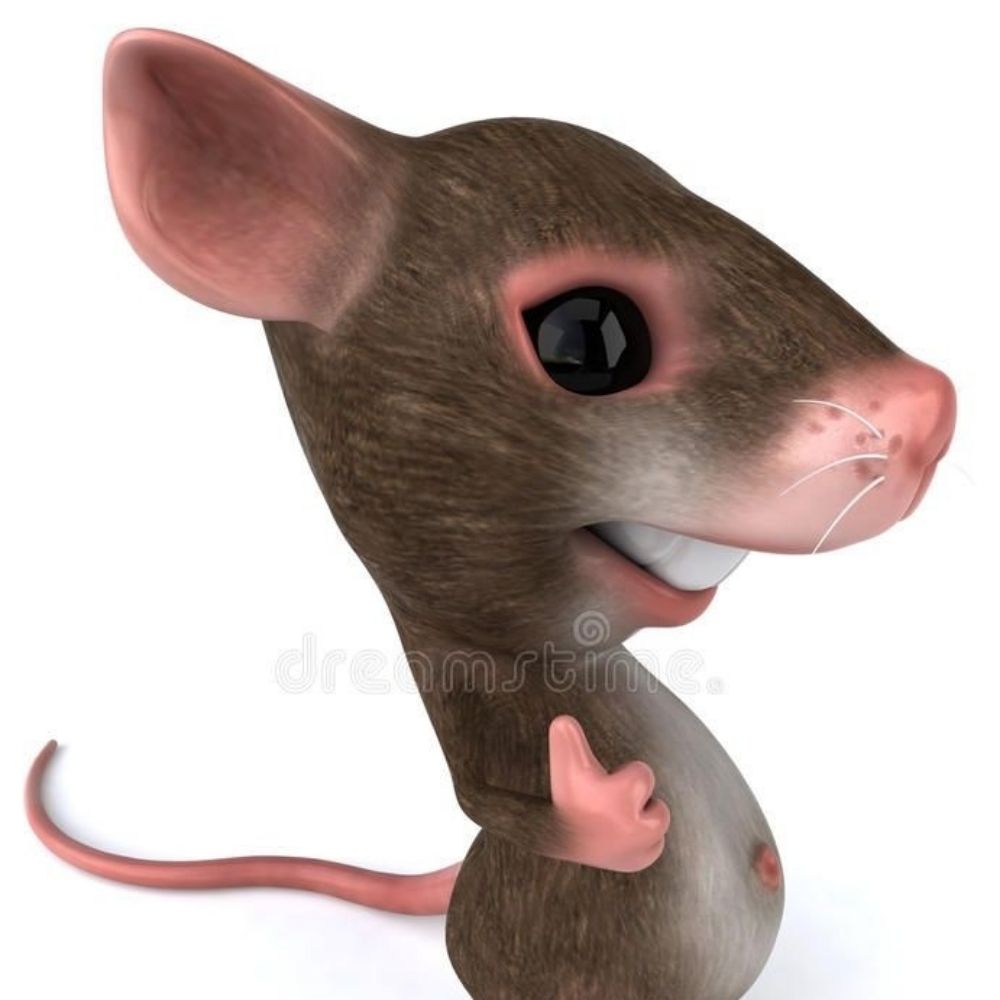 bagi 
