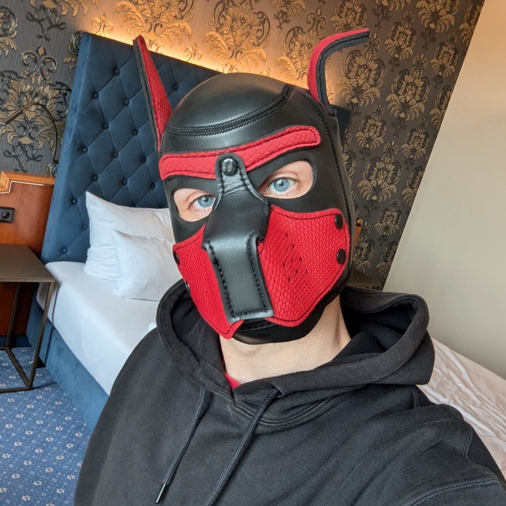 Pup Nao