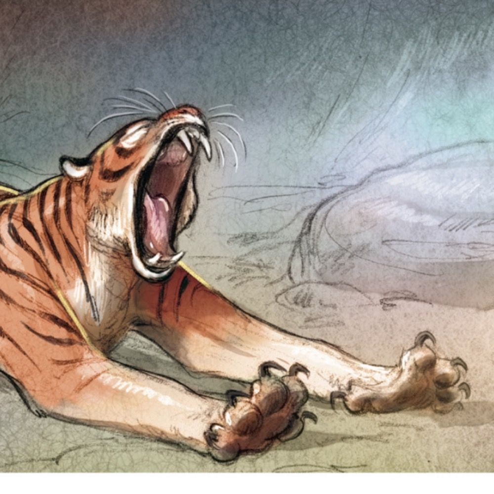 axiom of stripe