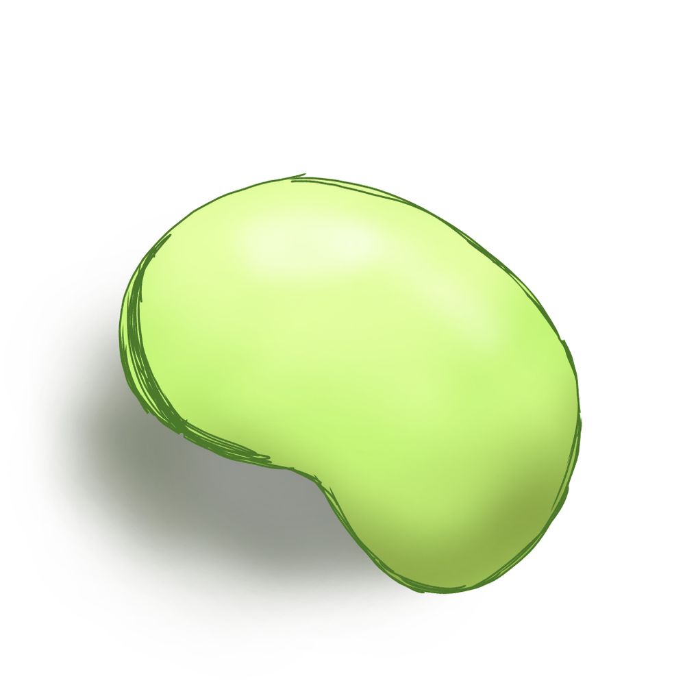 ∵そらまめ
