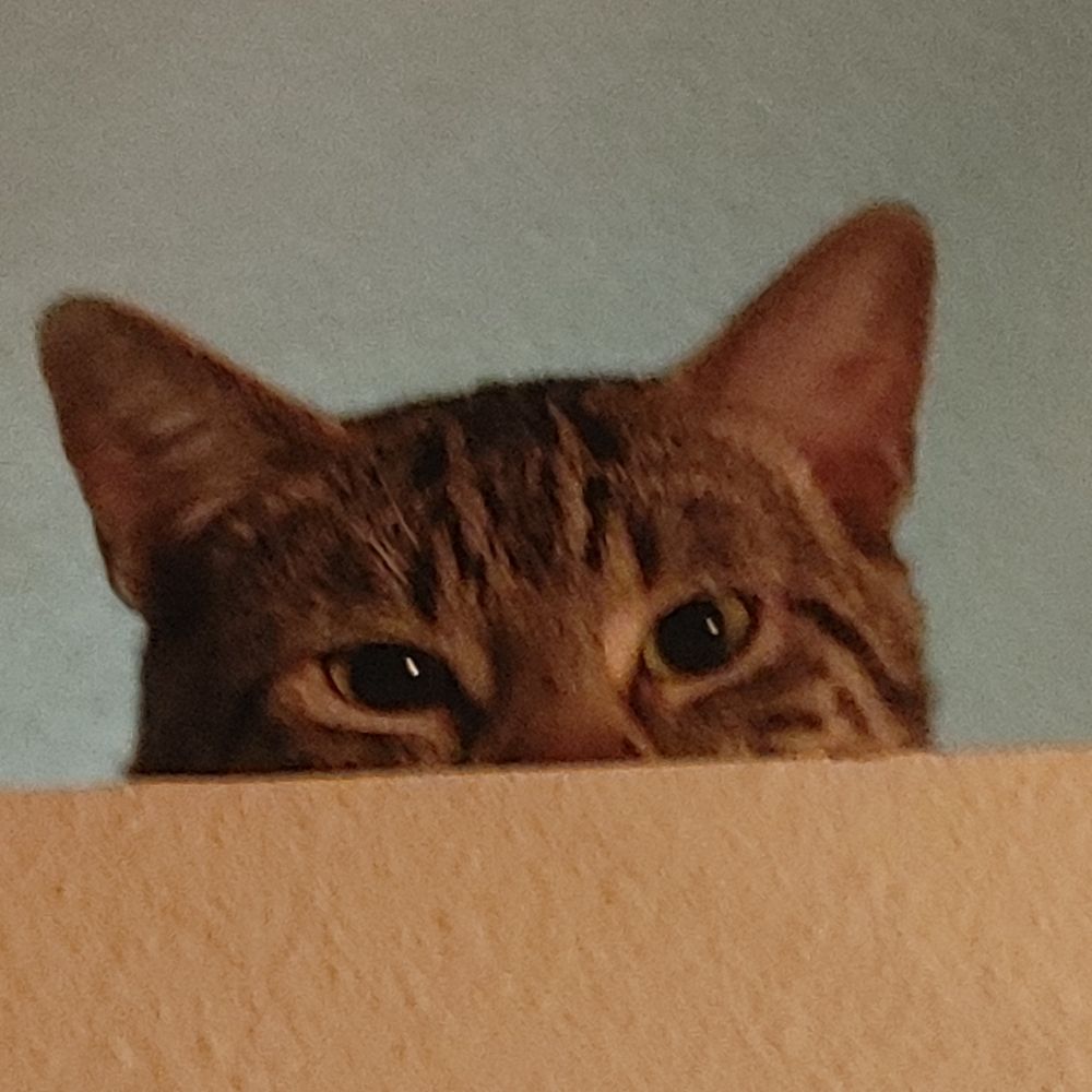 Jerrsh
