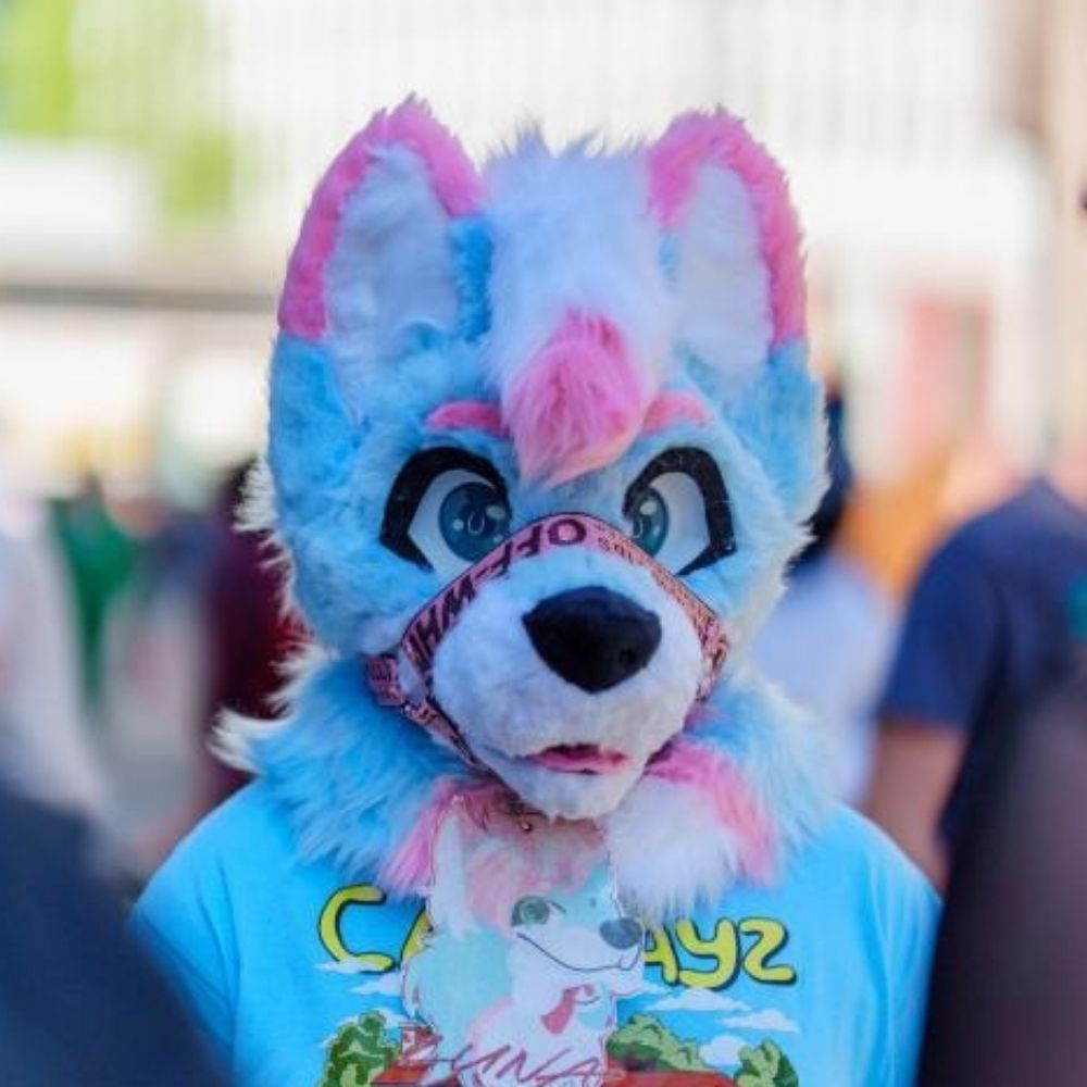 Luna the fox