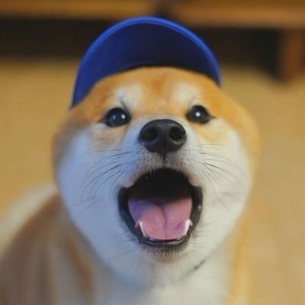 忘川