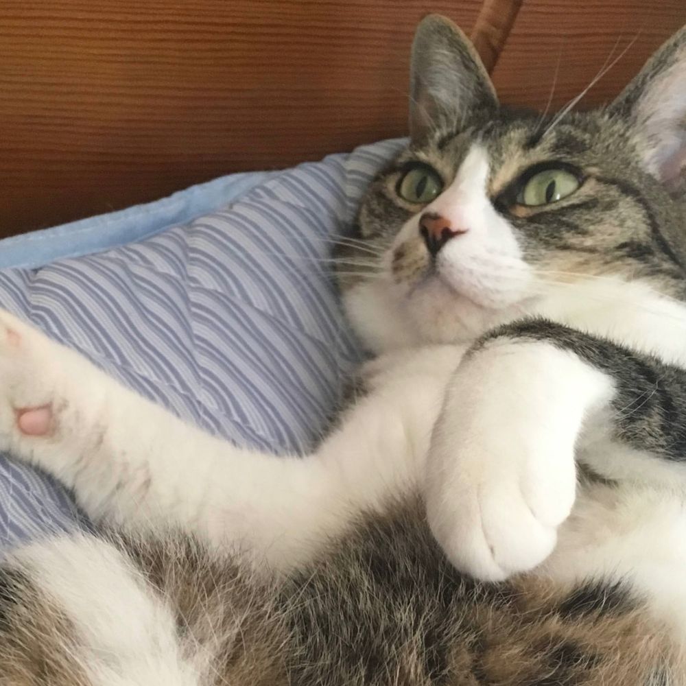 ヒデホヒ