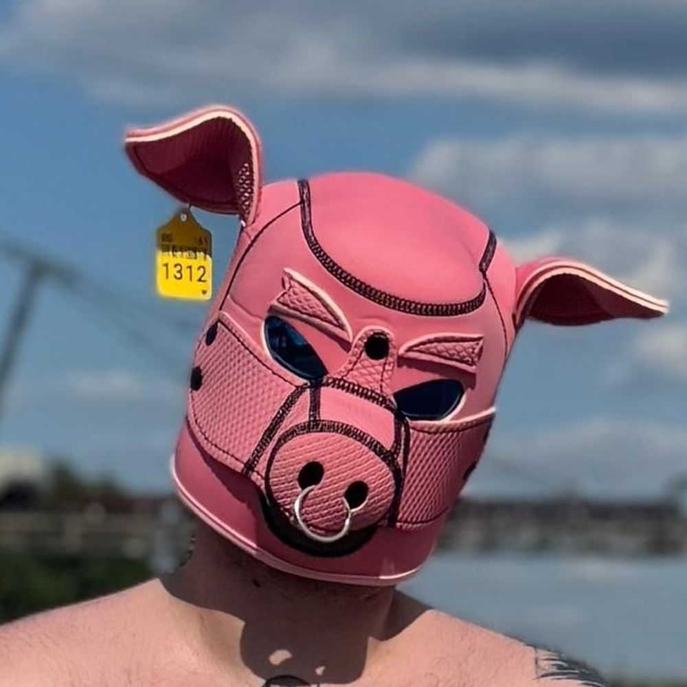 Lucky, the dairyhog