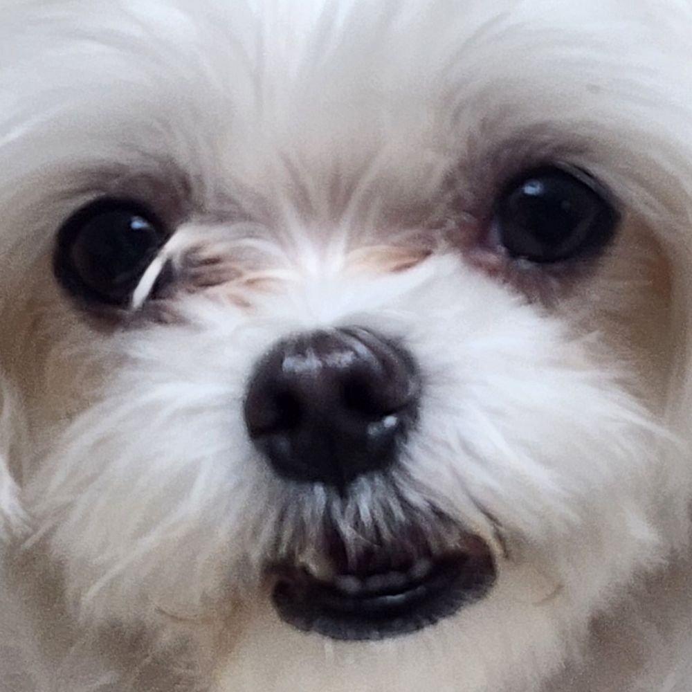 기로