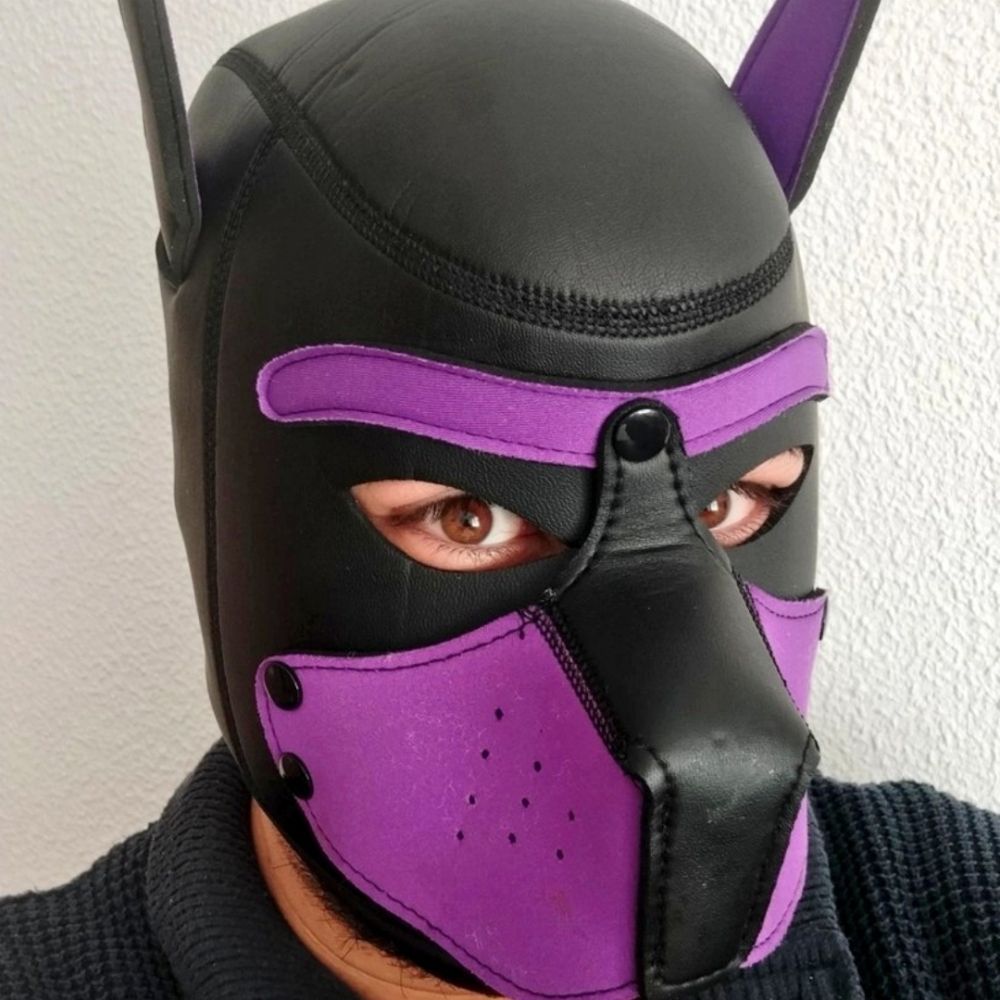 Furry Automated Space Gay Communism
