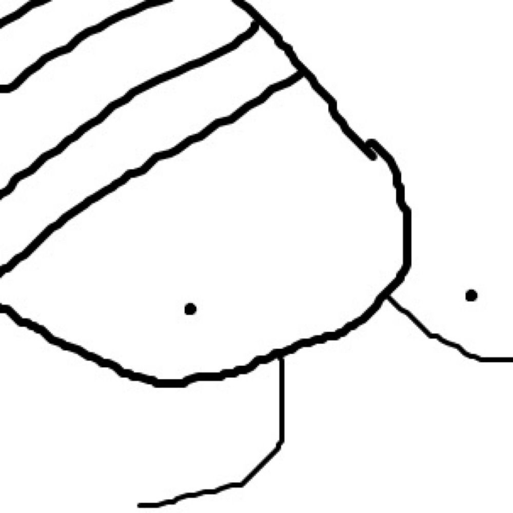 rock