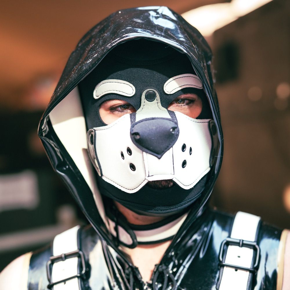 Pup Ozzy