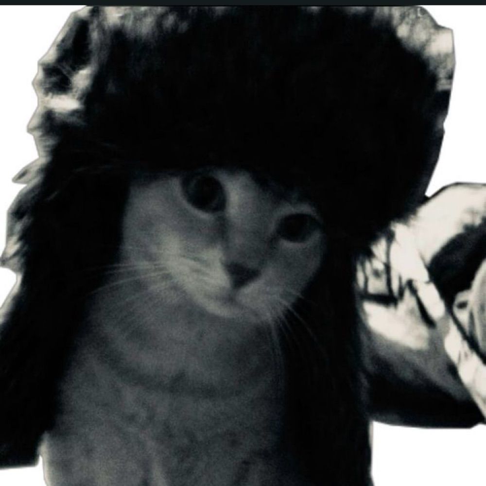 e 🖤