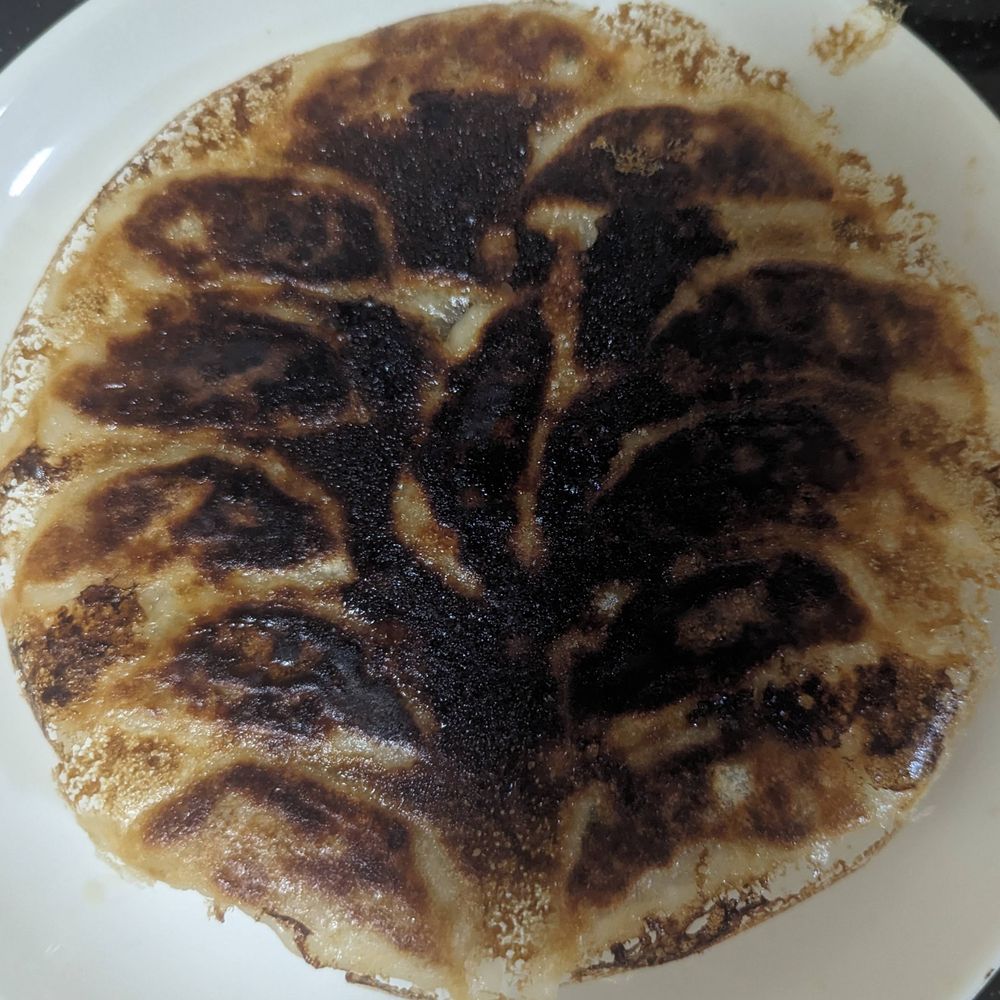 やって来たなメメント森