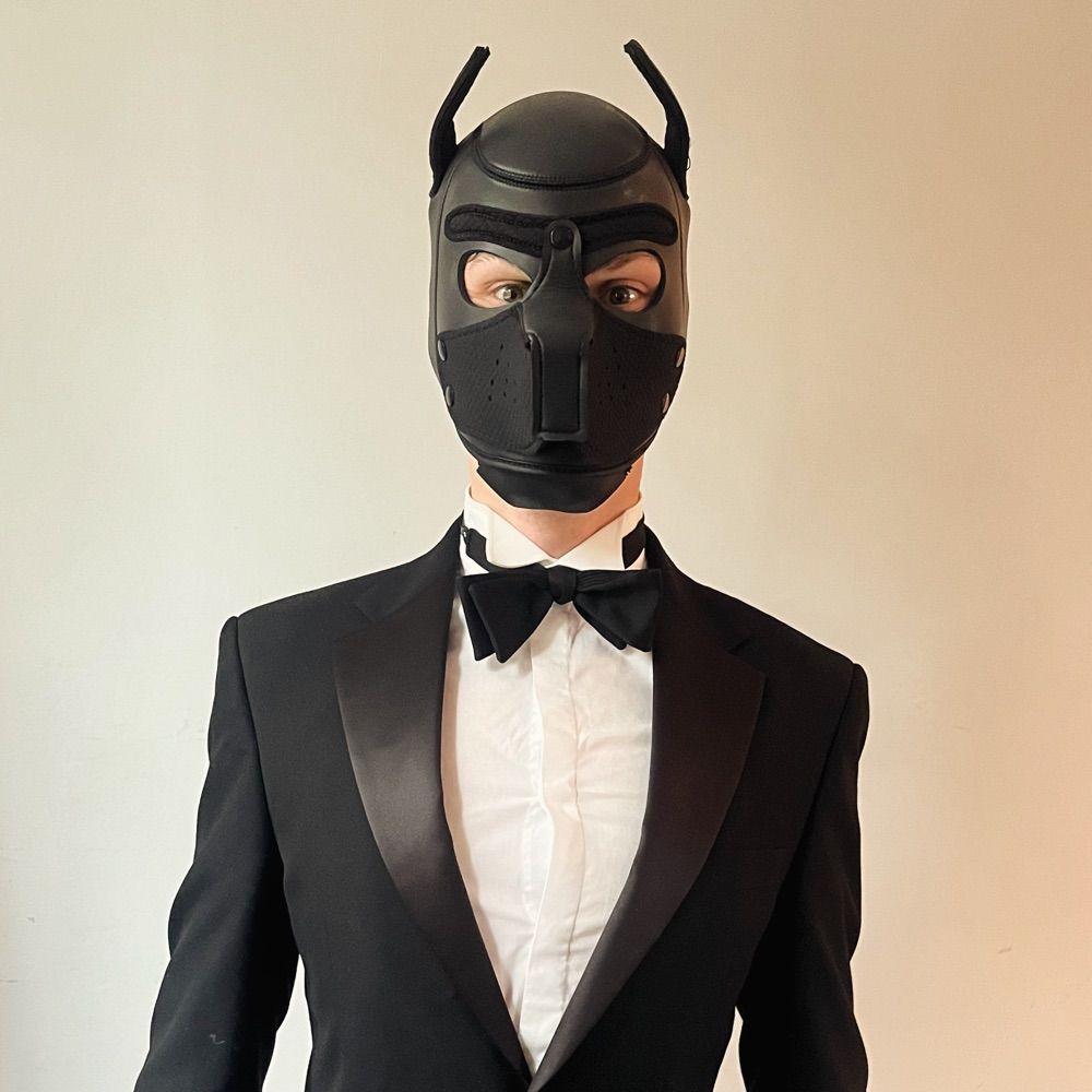 Dorian Doggo