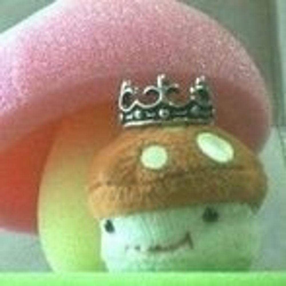 きのこ