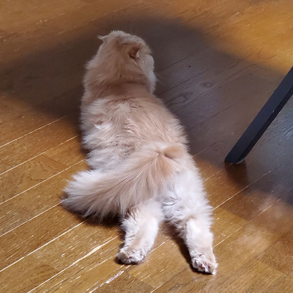むぎわさび