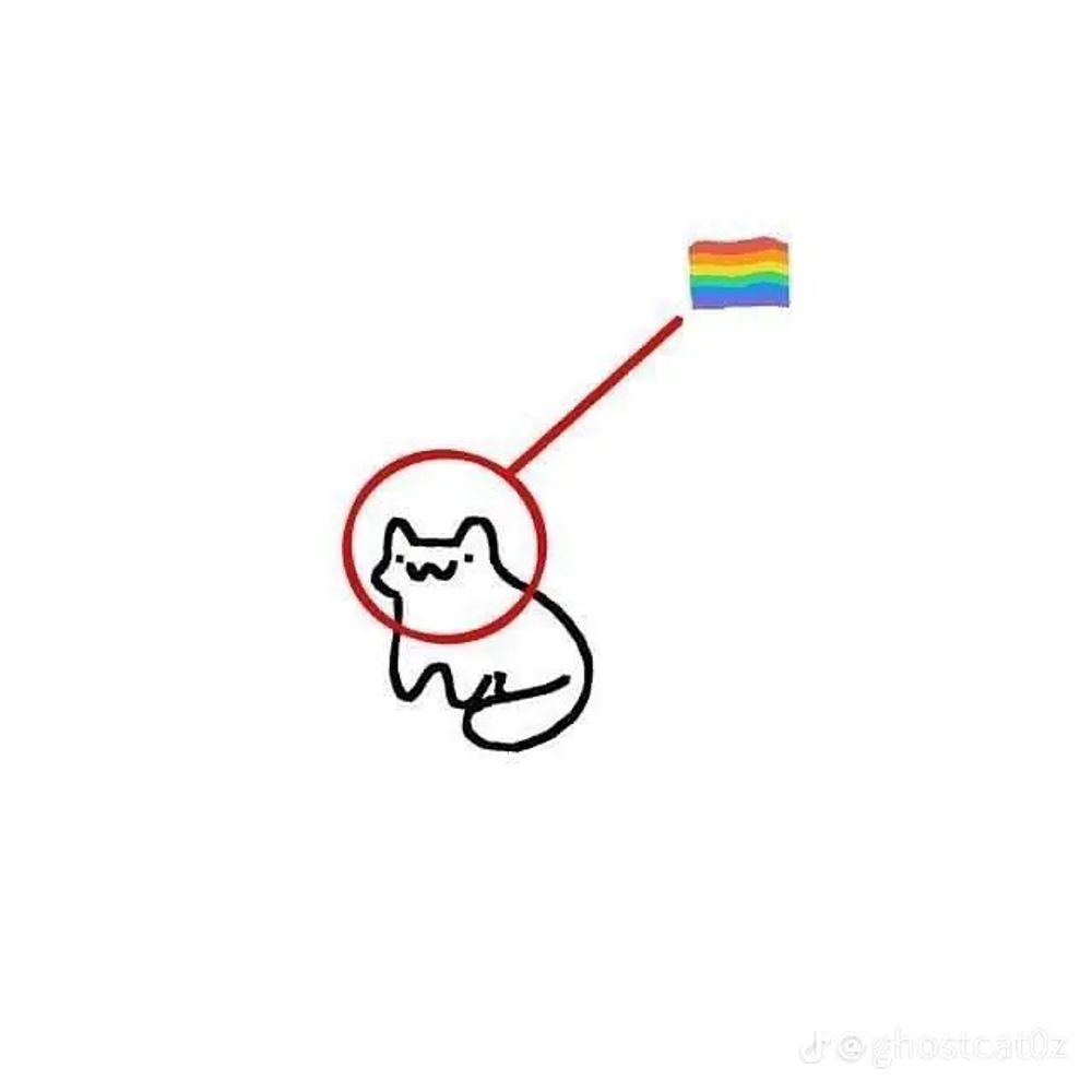 𓅛🏳️‍🌈