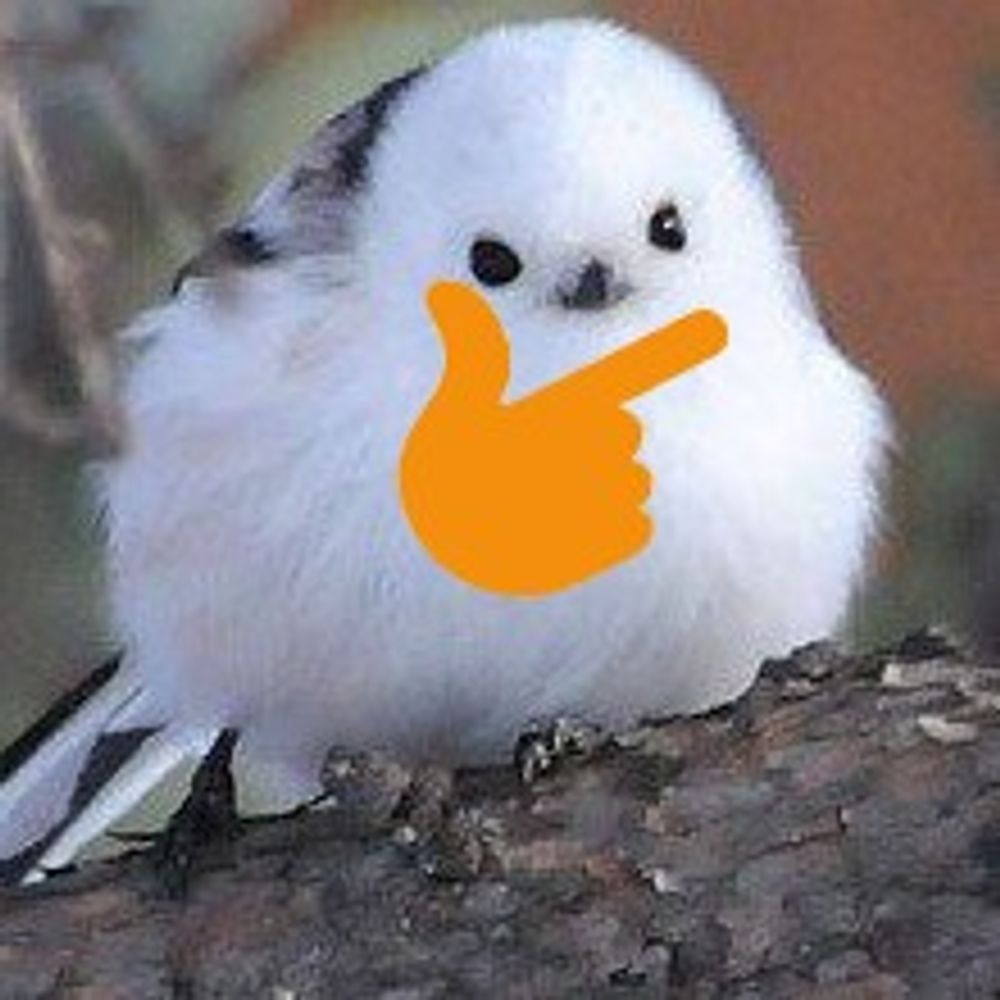 빽새