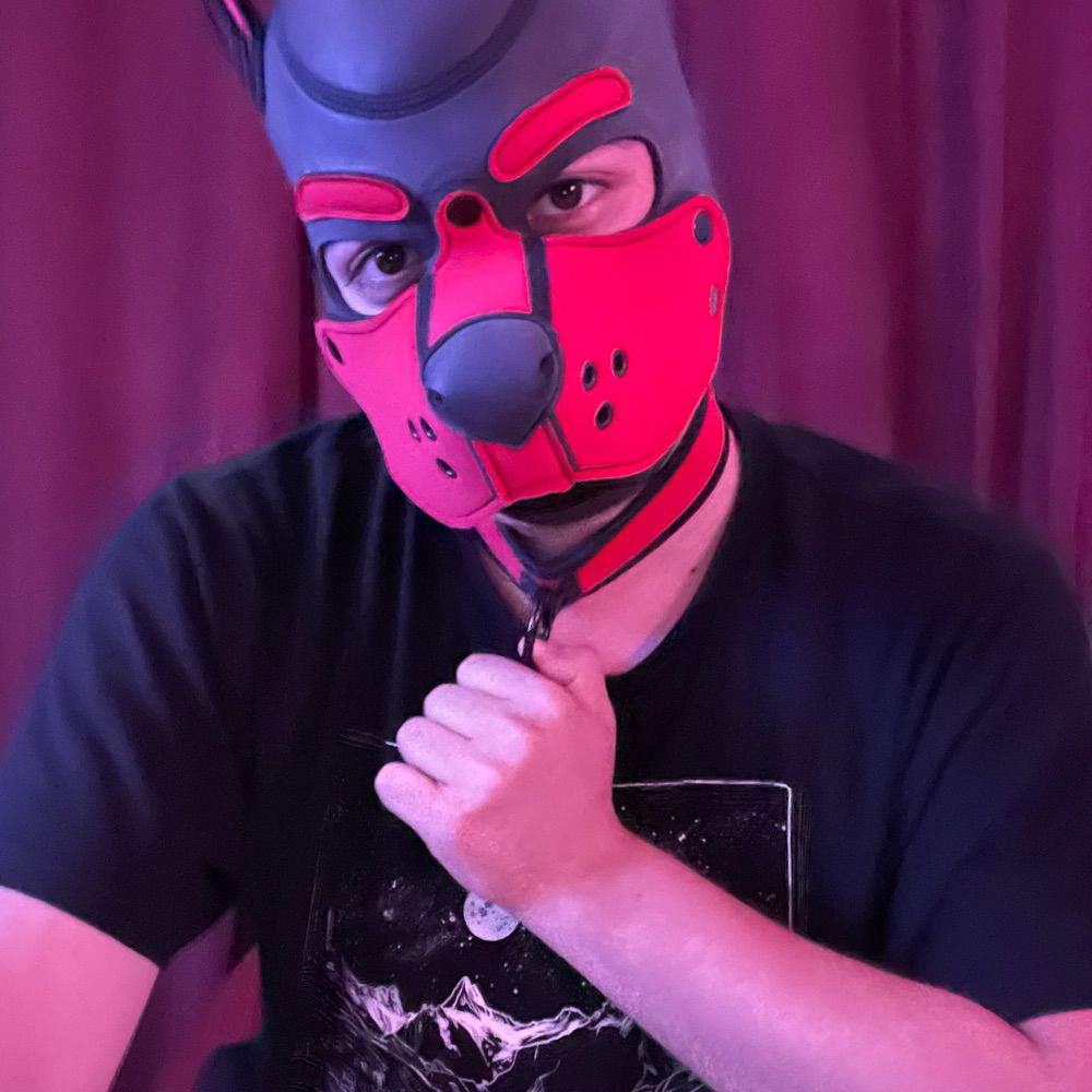PuppyHole
